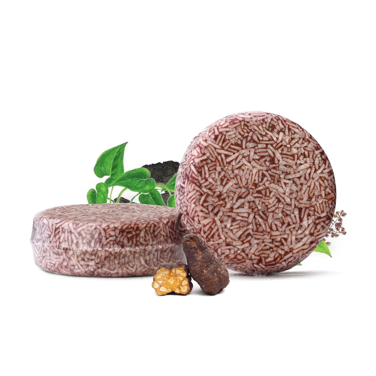 Shampooing solide au Polygonum – Soin fortifiant pour les cheveux 60g